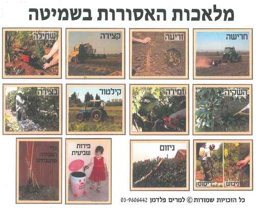 ערכת קישוט מלאכות האסורות בשמיטה