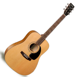 גיטרה אקוסטית S&P 028955 Woodland Cedar SF