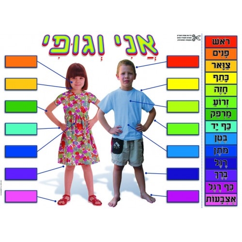 פלקט אני וגופי תבונה