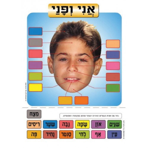פלקט אני ופני 50/70