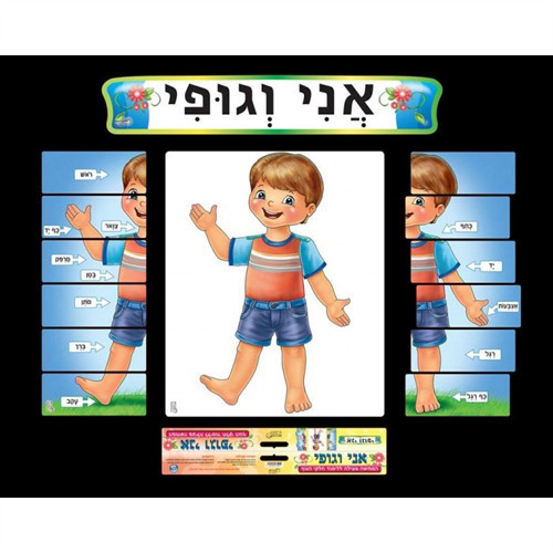 אני וגופי - המחשה פעילה