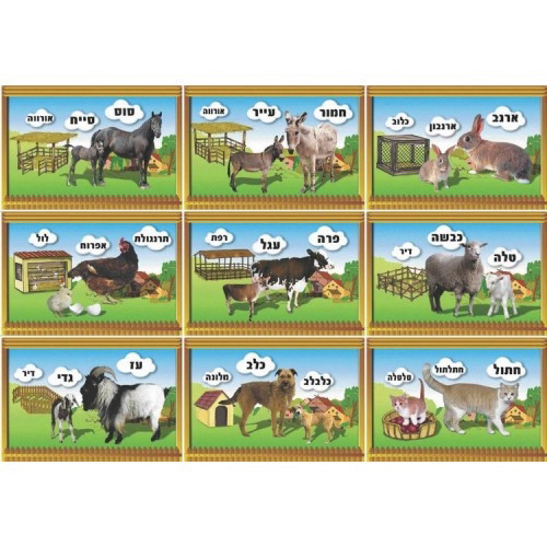 ערכת תמונות בעלי חיים