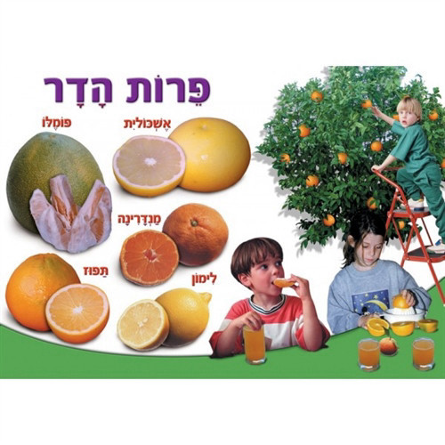 פלקט סיפורים שונים