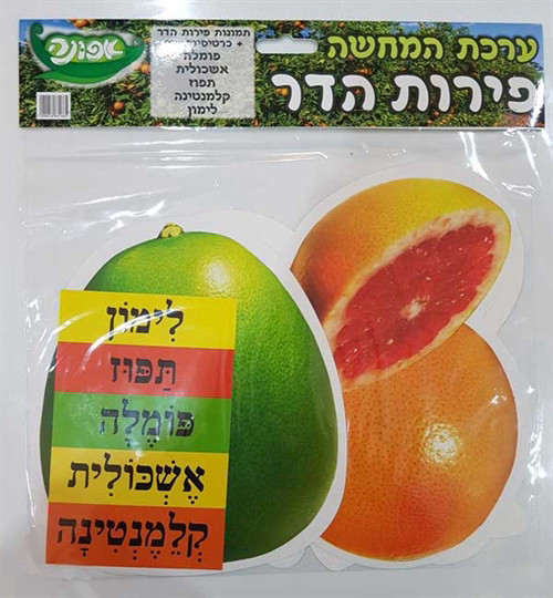 ערכת  המחשה פרי הדר