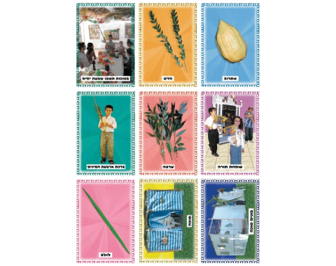 ערכת תמונות לחג סוכות