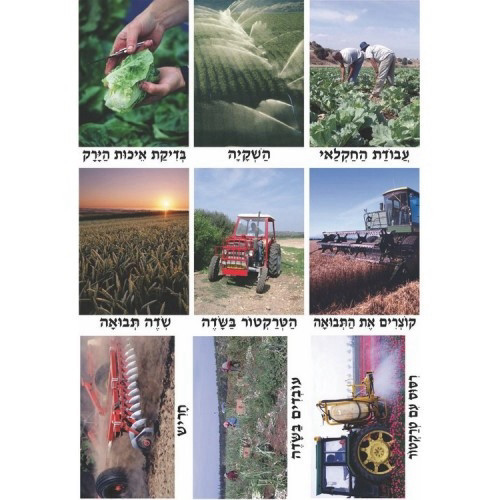 ערכת תמונות החקלאי
