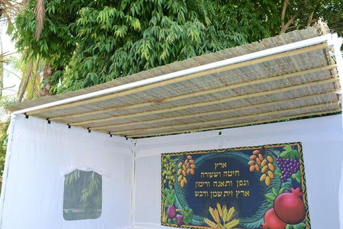 סכך קנים 2.1X2.1 מטר