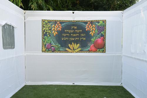 בד מאויר שבעת המינים - מכסה דופן אחת לקישוט הסוכה, אורך 2 מטרים