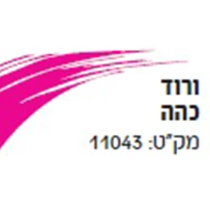 שפ