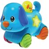 כלב אורות לחץ וסע winfun