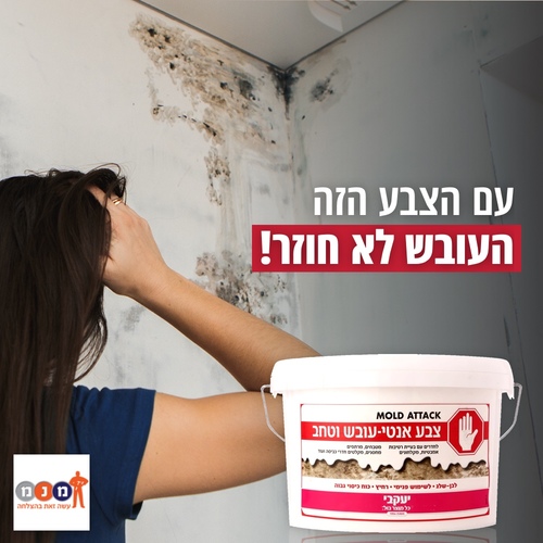 סטופ עובש - מלרד צבע נגד עובש 1 ליטר (כיסוי כ12מ