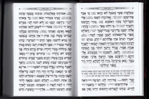 מחזור לפסח כוונת הלב כריכת סקאי 