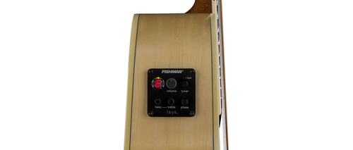 גיטרה אקוסטית מוגברת מבית Luna Guitars FLO RSE