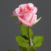 4aa53d43a4ce8a0108448ad213f6e1fa