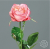 Fe44f013ccdccc2fe226dd60d631cdc1