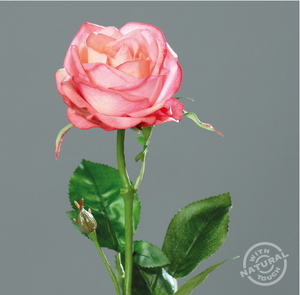 ענף ורד פתוח ורוד 66 ס"מ Rose