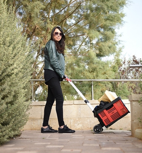 עגלת יד מתקפלת דגם TARGET AT60