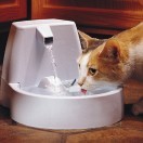מזרקת מים petsafe לחתולים