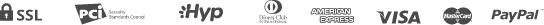 payment_icon