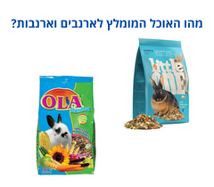 מהו האוכל המומלץ לארנבים וארנבות?