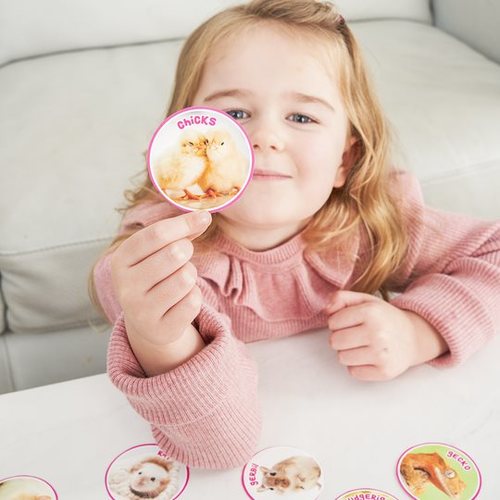 משחק אסטרטגיה מסדרת גלגל ת'קוביה - חיות מחמד