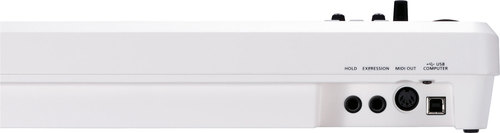 זוית נוספת Roland A-49 WH