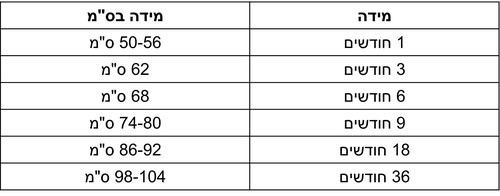 חולצת במבוק מכופתרת אפור בהיר BAMBOOM