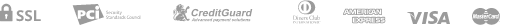 payment_icon