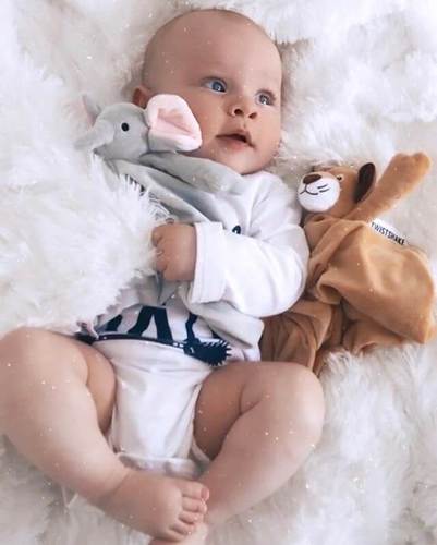 בובת שמיכי מקטיפה רכה - דב