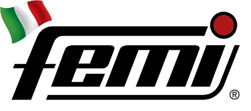 FEMI 31N