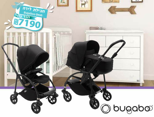 חבילת לידה בוגבו Bee 6 