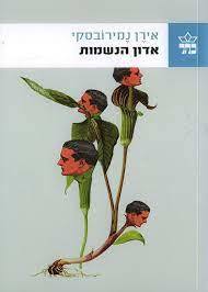אדון הנשמות (יד שניה) - אירן נמירובסקי כתר