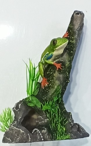 דקורציה גזע עם צפרדע לאקווריום