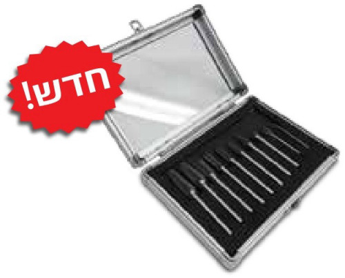 סט פצירות מסתובבות 10 יחידות מבית גמל שריד