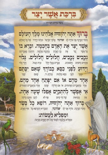 ברכת אשר יצר 