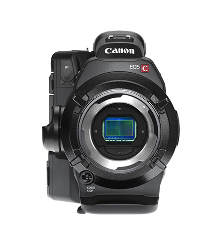 מצלמת וידאו Canon EOS C300 Mark II קנון 