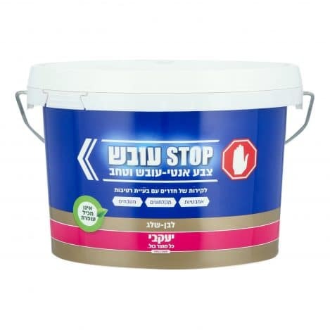 צבע אנטי עובש – צבע למניעת עובש