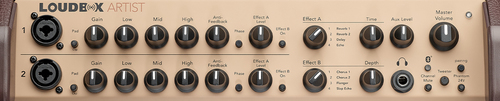 מגבר לאקוסטית Fishman Loudbox Artist BT 120W
