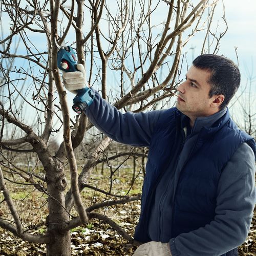 גוף מזמרה מקצועית נטענת בראשלס BOSCH PRO PRUNER 12V BRUSHLESS