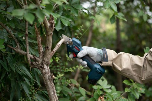 גוף מזמרה מקצועית נטענת בראשלס BOSCH PRO PRUNER 12V BRUSHLESS