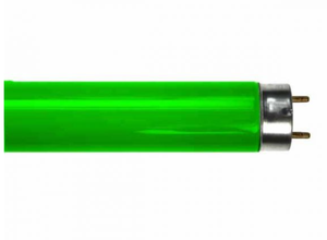 נורת פלורסנט ירוקה 36W T8 אורך 1200mm China