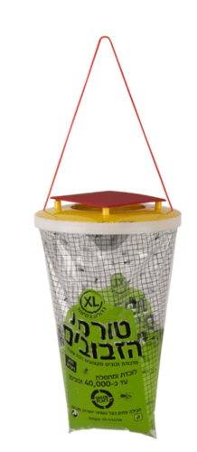 טורפת הזבובים XL אריזה