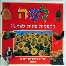 למה החמניות פונות לשמש (יד2)  כתר