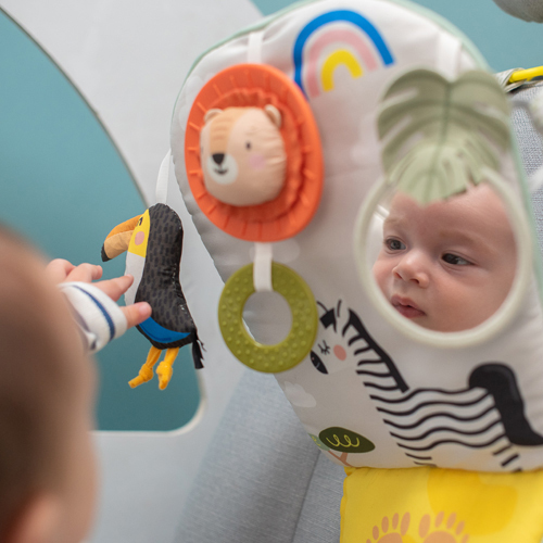  פעלולון אורקולי לרכב 'שחק ובעט' - סוואנה טף טויס Taf Toys
