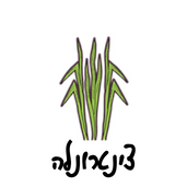 שמן ציטרונלה