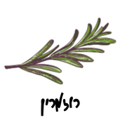 רוזמרין  