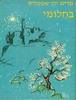בחלומי (יד 2 מצב גרוע)- מרים ילן-שטקליס*