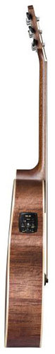 גיטרה אקוסטית מוגברת Baton Rouge AR61S/ACE