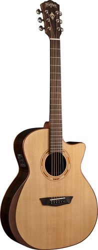 Washburn G20SCE