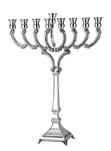 חנוכית קשת ארוזית גבוה